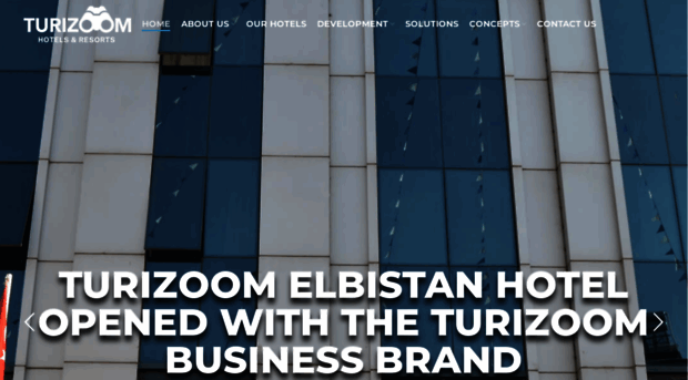 turizoomhotels.com