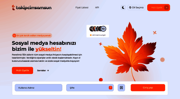 turkapi.com