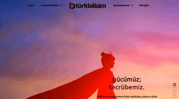 turkbilisim.com.tr