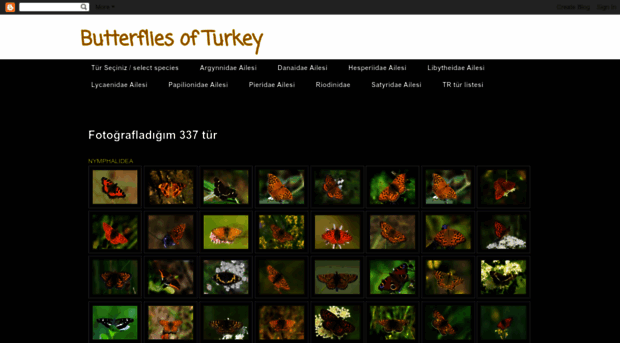 turkeybutterflies.blogspot.com