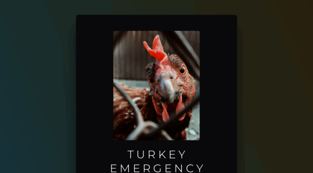 turkeyemergency.com