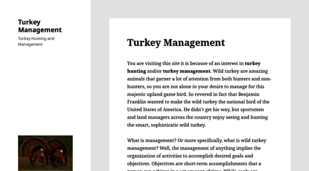 turkeymanagement.com