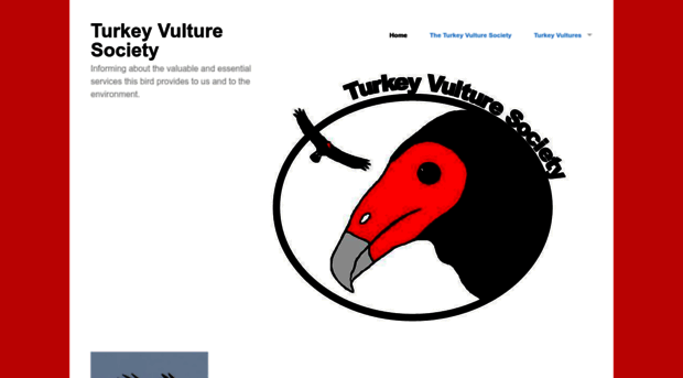 turkeyvulturesociety.wordpress.com