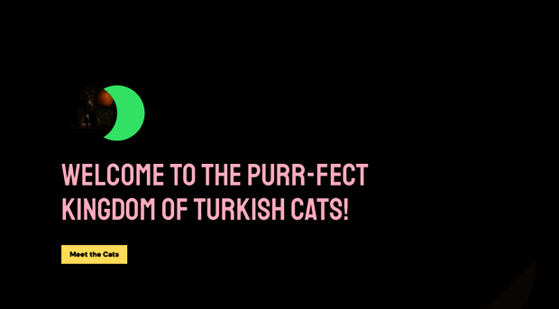 turkish-cats-home.framer.ai