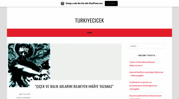 turkiyecicek.wordpress.com