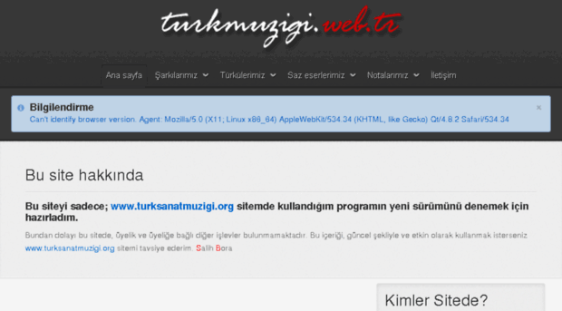 turkmuzigi.web.tr