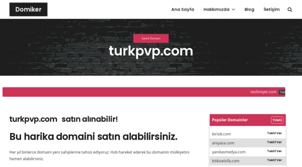 turkpvp.com