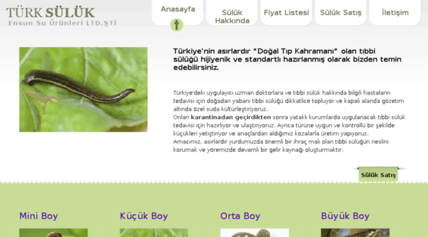 turksuluk.com