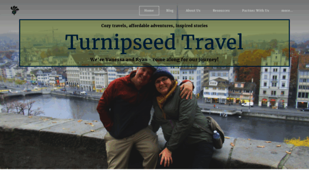 turnipseedtravel.com