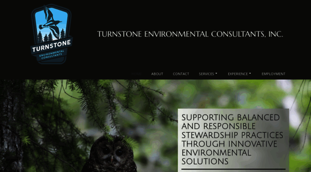 turnstoneenvironmental.com