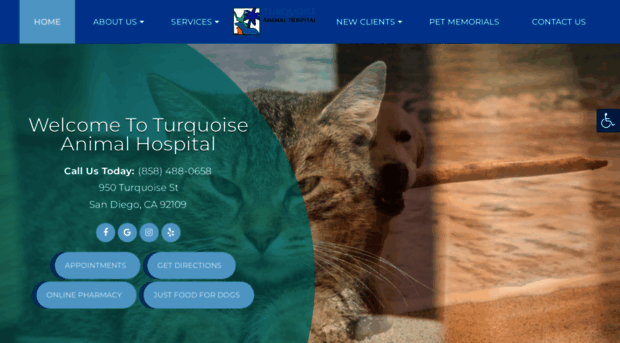 turquoiseanimalhospital.com