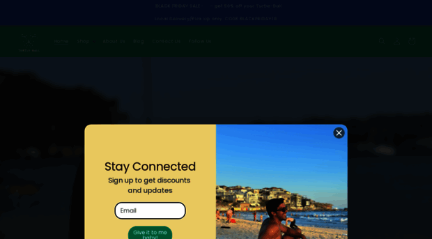 turtle-ball.com