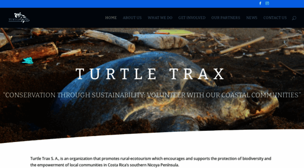 turtle-trax.com