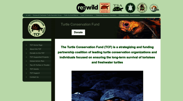 turtleconservationfund.org