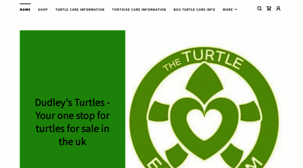 turtleemporium.co.uk