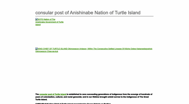 turtleislandgov.com