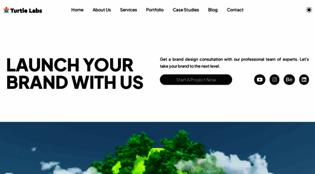 turtlelabs.co.in