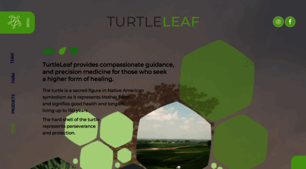 turtleleaf.co