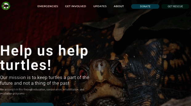 turtlerescueleague.com