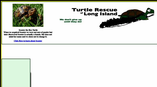 turtlerescues.com