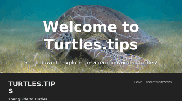 turtles.tips