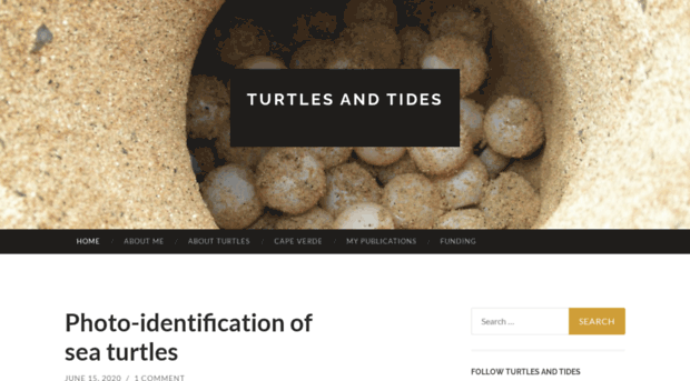 turtlesandtides.wordpress.com