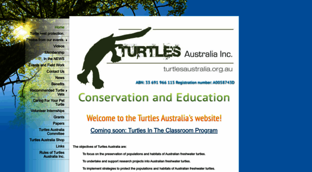 turtlesaustralia.org.au