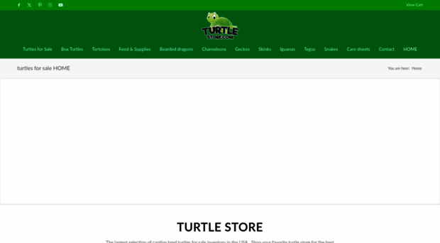 turtlestore.com