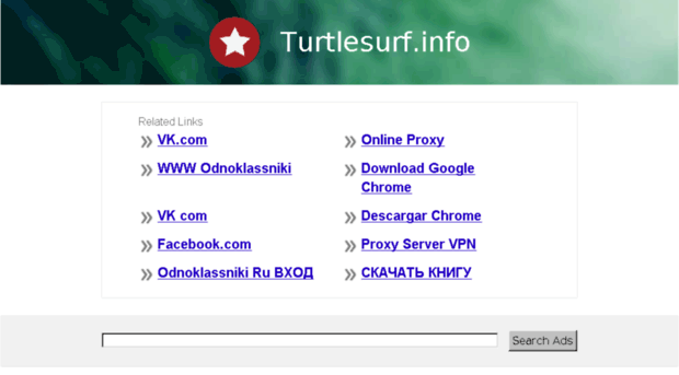 turtlesurf.info