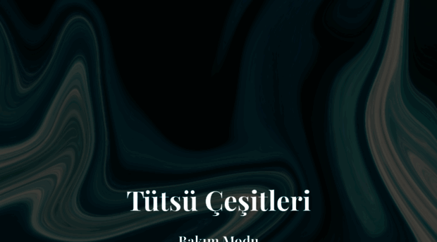 tutsucesitleri.com