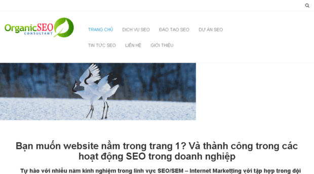 tuvanseo.org