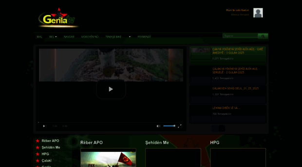 tvgerilla.com