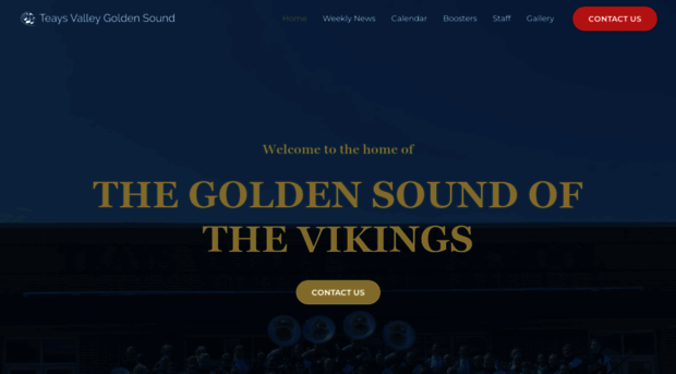 tvgoldensound.org