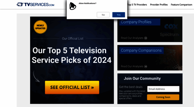 tvservices.com