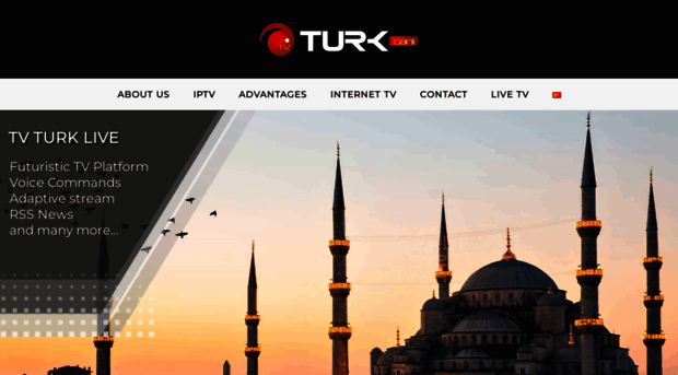 tvturklive.com