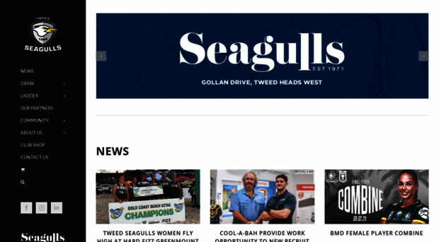 tweedseagulls.com.au