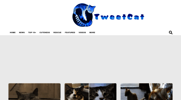 tweetcat.net