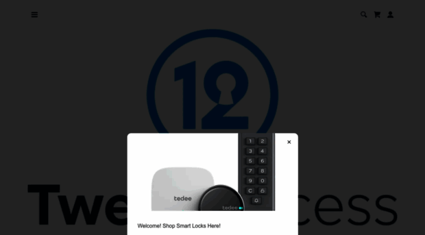 twelveaccess.com
