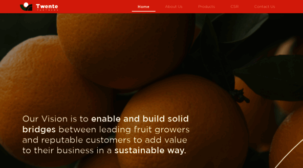 twentepartners.com