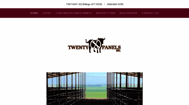 twentyxpanels.com