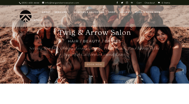 twigandarrowsalon.com