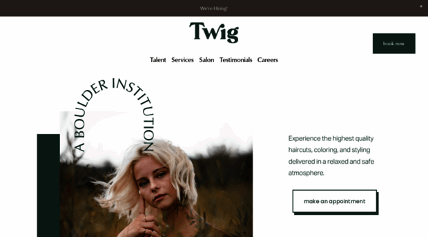 twighairsalon.com