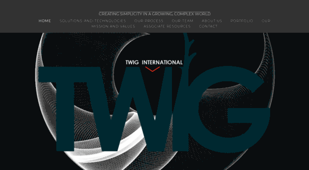 twiginternational.com