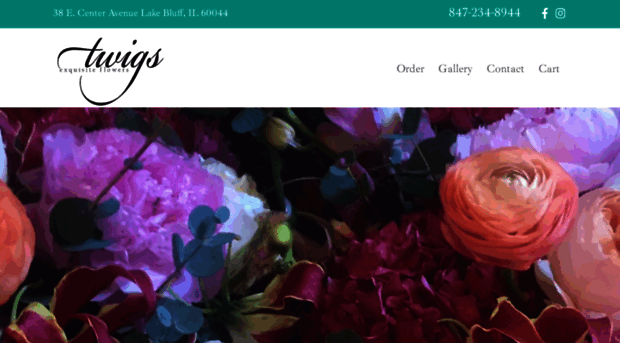 twigsflowershop.com