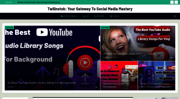 twilinstok.com