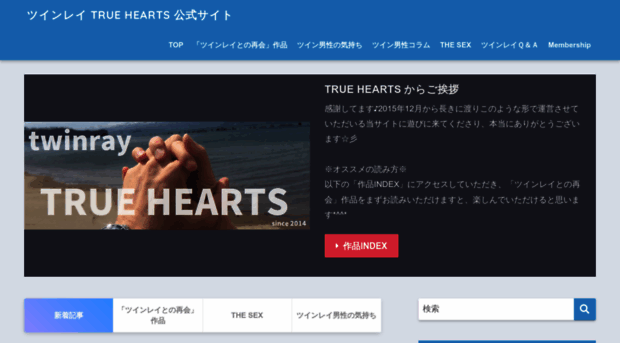 twin-ray.com