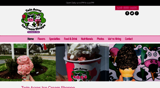 twinacresicecreamshoppe.com