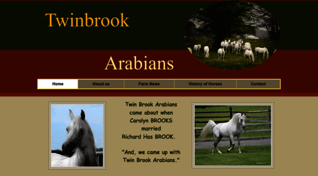 twinbrookarabians.net