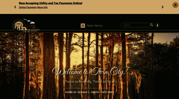 twincityga.com