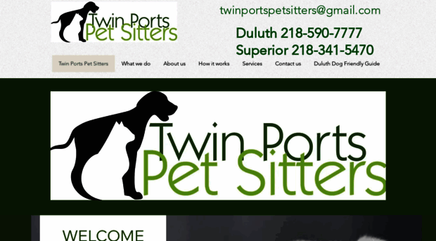 twinportspetsitters.com